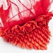 Red dragon headress with wings, decorated roses, scales, veiling.